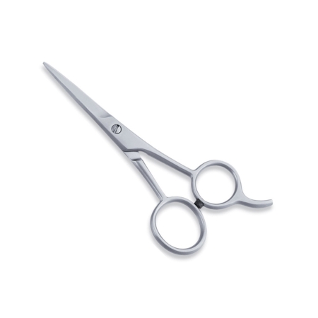 Economy Hair Scissors